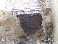Under prøveutgravingen i fjor fant arkeologer en del av kjølen til vikingskipet. 
FOTO: Kulturhistorisk museum/UiO