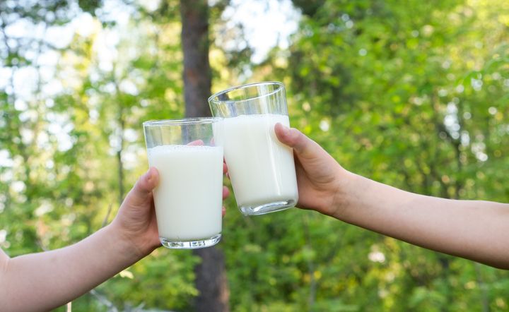 1. juni er verdens melkedag: Vanlig hvit melk er noe av det folk vil savne mest om råvaren melk og dermed alle meieriprodukter forsvant.