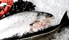 FERSK FISK PÅ DAGEN: Kolonial.no garanterer at du hos dem får fisken hjem til deg samme dagen som den er skåret og pakket. Foto: KOLONIAL.NO