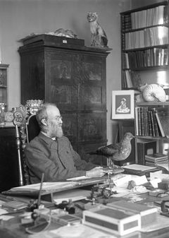 Zoolog Sparre Schneider på sitt kontor. Bildet er tatt ved overgangen fra det 18. til det 19. århundret. Foto: Norges arktiske universitetsmuseum