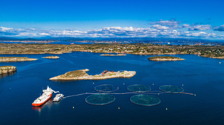 En rekke norske fjord- og kystkommuner legger til rette for at oppdrettsnæringen kan etablere seg.