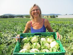 Blomkål kan vi spise hver dag sommeren igjennom uten å bli matlei, sier produsent Kirsten Ravnsborg Justad i Lier i Buskerud