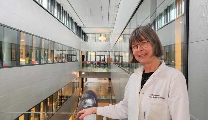 Professor Anne Spurkland, UiO, er vinner av Forskningsrådets formidlingspris 2021. Foto: Anna Chan / UiO