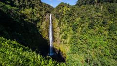 Flere nordmenn drømmer om å reise til Hawaii, som kommer på fjerdeplass over drømmedestinasjoner. Her ved det kjente Akaka Falls. Foto NCL