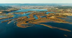 Nordre Øyeren i Viken er et av områdene på Ramsarkonvensjonens liste over våtmarker hvor verdiene og kvalitetene står i fare for å skades. Foto: Kim Abel/Naturarkivet