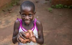 Ni år gamle Cliveness viser fram noen av søtpotetene fra årets avling. Hennes familie deltar i Utviklingsfondets modellbondeprosjekt i Malawi. Det har hatt stor effekt. Foto: Tine Poppe.