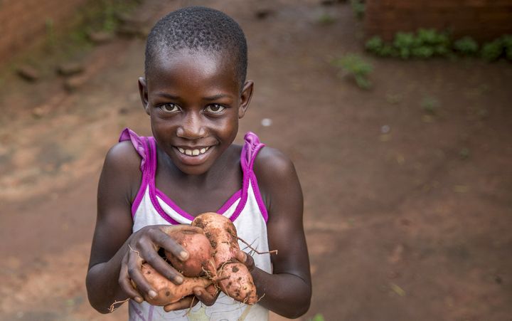 Ni år gamle Cliveness viser fram noen av søtpotetene fra årets avling. Hennes familie deltar i Utviklingsfondets modellbondeprosjekt i Malawi. Det har hatt stor effekt. Foto: Tine Poppe.