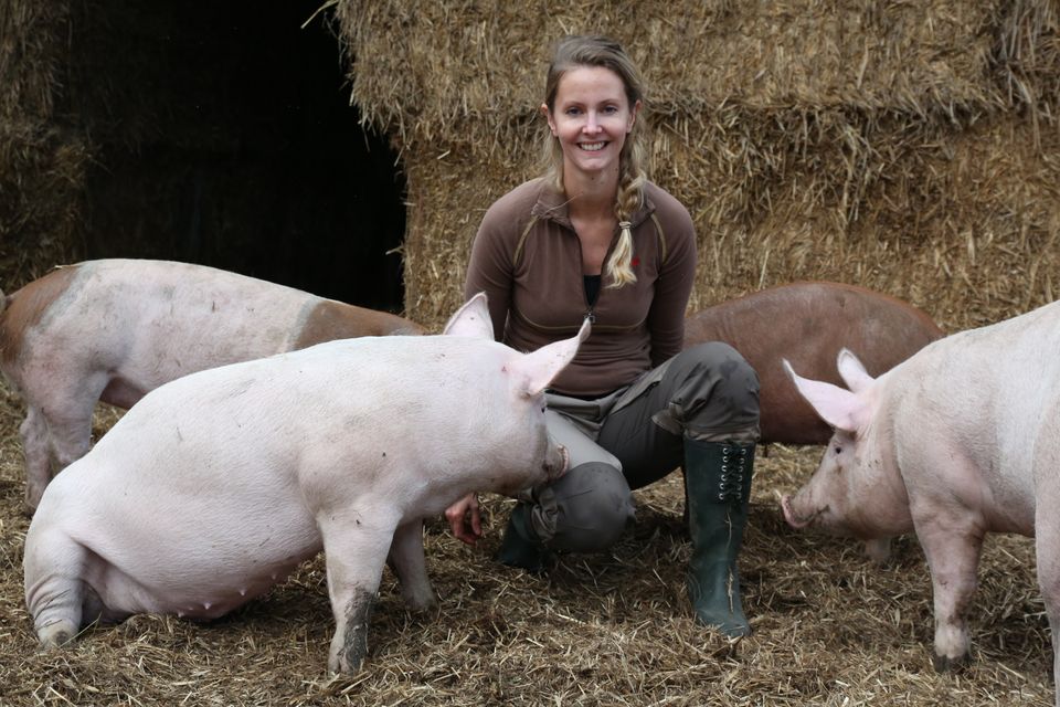 GRIS økologiske hos HENRIETTE GRØNDAHL - FOTO Iselin Linstad Hauge LC1A8157