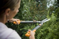 PUSS OG RYDD: Bruk høsten til å renske opp litt i hagen. Foto: Plantasjen
