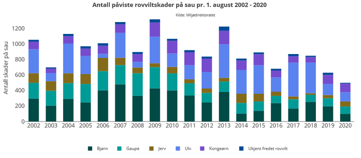 Figuren viser antall rovviltskader på sau per 1. august, dokumentert av Statens naturoppsyn (SNO).