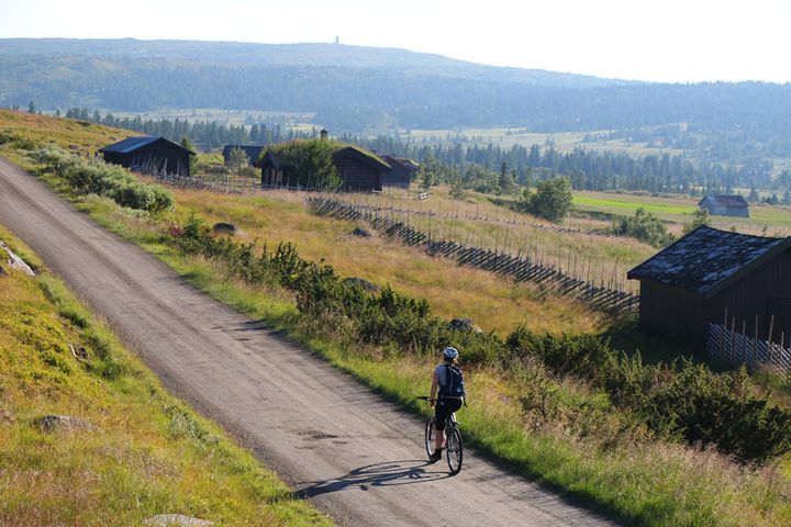 FLOTT SYKKELOMRÅDE: Hafjell- og Øyerområdet er godt tilrettelagt for sykkelturer. Foto: Øyvind Wold