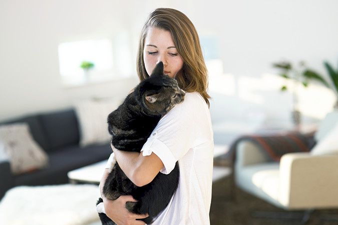 Pus i fare? Verisure har utarbeidet en liste over ting man bør tenke på før man forlater kjæledyrene hjemme.