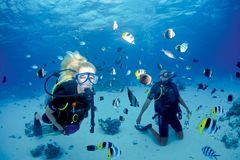Mange velger å ta dykkersertifikat eller et prøvedykk når de kommer til Stillehavet.