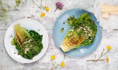Grillet hjertesalat med litt revet ost og kapers smaker helt herlig.