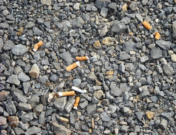 Filteret på sigaretter inneholder plast, og disse får da krav om merking. Foto: Mostphotos