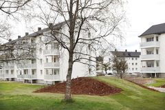 Gjenbruk av gravemasser. Foto: Trygve Indrelid