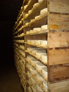 Den mikrobiologiske kvaliteten for melkeprodukter generelt er god. Likevel ser Mattilsynet at det det er mikrobiologiske utfordringer i tilknytning til produkter laget av melk som ikke er varmebehandlet (upasteurisert). Illustrasjonsfoto: Margrethe Hovda Røed, Mattilsynet.