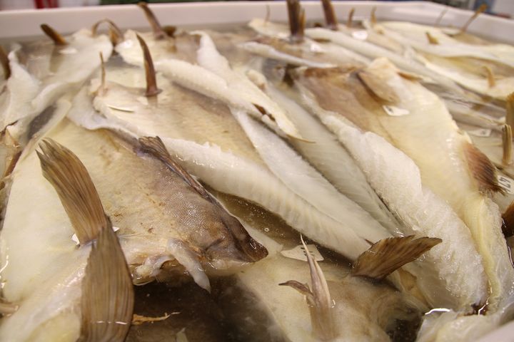 Brødrene Berg AS på Værøy er prosjektleder i forskning som forhåpentligvis vil forlenge lagringstiden på tørrfisk og dermed resultere i en jevnere og bedre kvalitet på all lutefisken som produseres. Foto: Sjurdur Joensen © Nofima