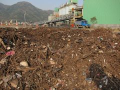Flytende materiale fra Tre kløfter-demningen, Yangtse, Kina. Foto: Kåre Helge Karstensen