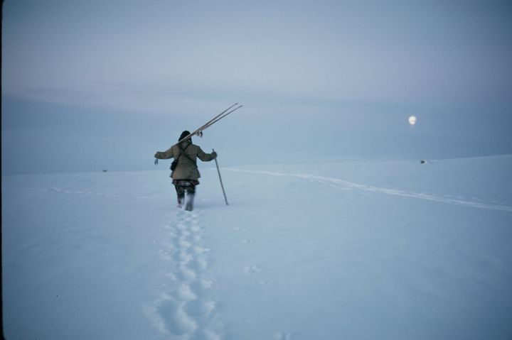 Guođoheaddji sabehiiguin /Reingjeter med ski (foto: Eirik Borg/Arkivverket/Samisk arkiv/Eirik Borgs foto).
