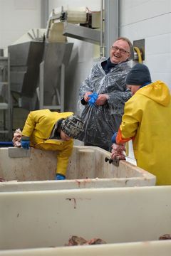 Tungeskjærere på Myre i Vesterålen. Foto: NFD