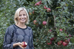 Merkevaresjef Hanne Viksmo Sværk smaker på sesongens epler. Kun godt modne epler fra Hardanger kommer gjennom nåløyet.