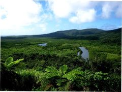 Fire øyer sørvest i Japan med subtropisk regnskog er nå skrevet inn på Unescos verdensarvliste. Foto: Aomori Prefecture Board of Education (Cultural Property Protection Division), Sannai Maruyama
