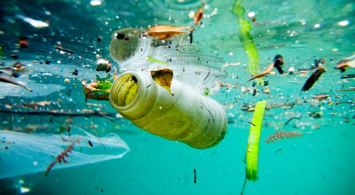 Das Treffen der UN-Umweltversammlung ist ein internationaler Durchbruch im Kampf gegen Plastik.  193 Länder einigten sich darauf, ein internationales Forschungsgremium für Maßnahmen gegen Chemikalien, ein Expertengremium für Abfall und Umweltverschmutzung und ein globales Kunststoffabkommen einzurichten.