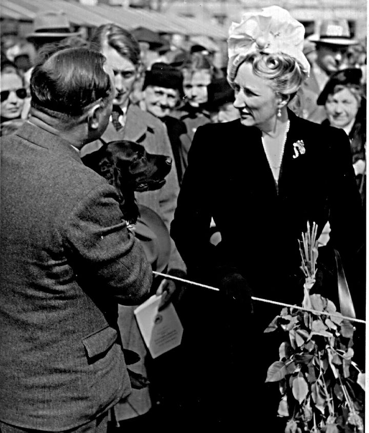 Hundeutstilling annon 1947. Kronpris Märtha hilser på en utstiller ved NKKs utstilling i Oslo i 1947. Foto: NKKs arkiv
