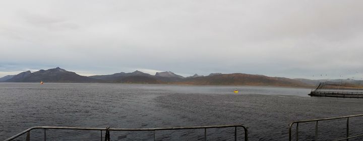 Fiske er tillatt inntil 100 meter fra oppdrettsanlegg. Foto: Bjørn-Steinar Sæther © Nofima