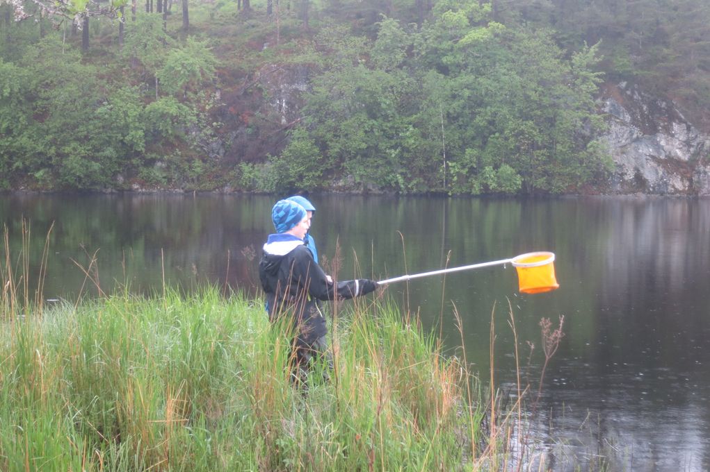 Elever fra Pollen skule jakter dafnier i forbindelse med lansering av Forskningskampanjen 2013