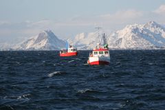 Illustrasjonsfoto Frabk Gregersen © Nofima