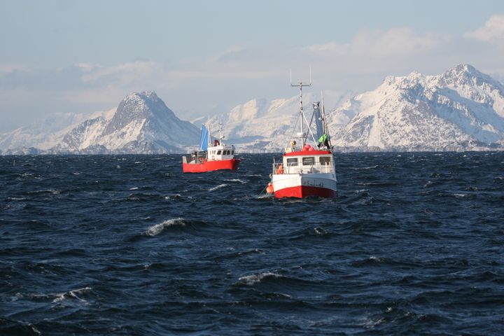 Illustrasjonsfoto Frabk Gregersen © Nofima