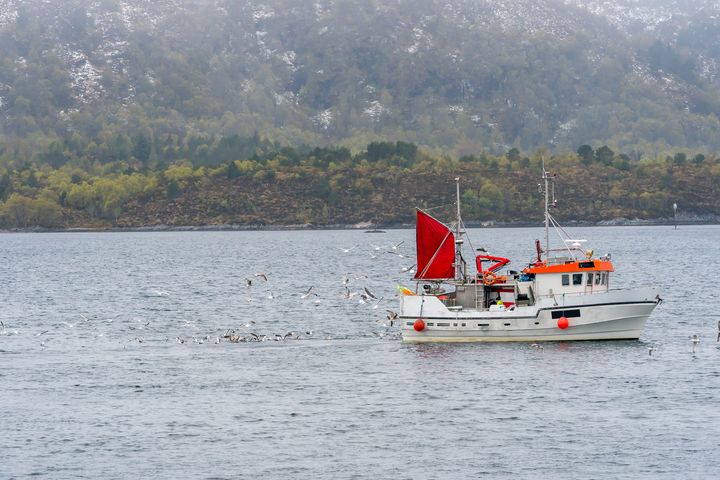 Bærekraft og likestilling er en av parolene i en rekke 8. marstog tirsdag. Kilden oppsummerer nå kunnskap på feltet i et politikknotat. Foto: iStockphoto. Bildet kan kun brukes med tillatelse.