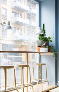 Foto: Inger Marie Grini