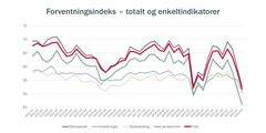 Forventningsindeks - totalt og enkeltindikatorer.