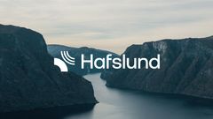 Hafslund-konsernet endrer navn fra Hafslund Eco til Hafslund.