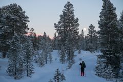 Femundsmarka og Svukuriset FOTO Monica H Langen