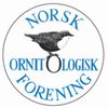 BirdLife Norge