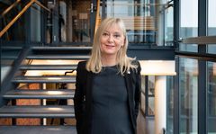 NYTTIG REGISTER: – Ordningen blir viktig for å redusere svart arbeid og bidra til lovlige arbeidsforhold. Og, ikke minst, vil den gjøre det enklere for kunder å ta bevisste valg, sier direktør Trude Vollheim i Arbeidstilsynet.