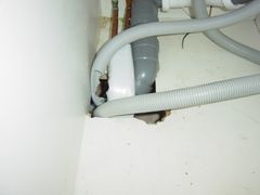Mus og rotter kan ødelegge isolasjon, treverk og i noen tilfeller vann og avløpsledninger. Foto: Fremtind.