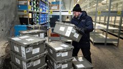 50 bokser med frøprøver fra 12 depositører ble denne uken fraktet inn i frøhvelvet på Svalbard for sikkerhetslagring. Foto: NordGen