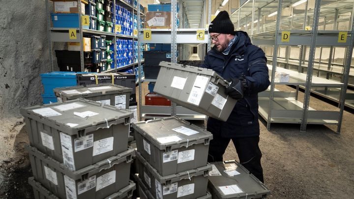 50 bokser med frøprøver fra 12 depositører ble denne uken fraktet inn i frøhvelvet på Svalbard for sikkerhetslagring. Foto: NordGen