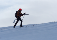 Frå 15. februar blir det ikkje lenger lov å bruke blyhagl på rypejakt. Foto: Sigve Reiso/Naturarkivet. Bildet fra Naturarkivet kan brukes av pressen knyttet til redaksjonell dekning av innholdet i denne konkrete pressemeldingen fra Miljødirektoratet. Bildet fra Naturarkivet skal ikke lagres i avisens arkiver for senere bruk.