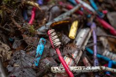 Skaftene på tannbørster og oppvaskbørster er blitt litt ruglete i løpet av tiårene. Det får forskerne til å tro på at de skal finne bakteriene som spiser akkurat slik plast. (Foto: Tommy Normann/NMBU)