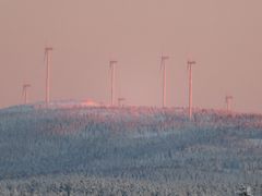 Flere vindkraftanlegg er bygget - og flere er planlagt - i skogsterreng i Norge og Sverige. Forskerne vet lite om påvirkningen de har på dyrelivet.
