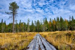 Foto: Torkel Skoglund