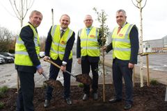 Fra venste, Irlands og Norges landbruksministre Michael Creed og Jon Georg Dale, styreleder i TINE og Dairygold, Trond Reierstad og James Lynch. De planter et eiketre ved planlagt nytt Jarslberg®-anlegg som et symbol på et langt og godt samarbeid.