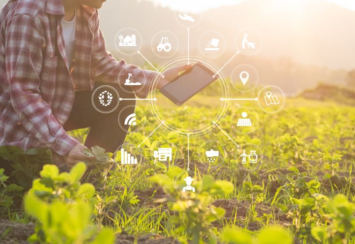 En åpen digital platform skal styrke samarbeid mellom aktørene i landbruket og gi mer bærekraftig matproduksjon.