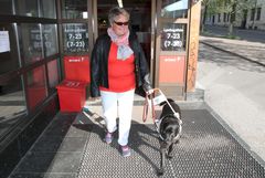 SELE PÅ = PÅ JOBB: – Si gjerne hei til meg, men ikke slipp hunden din. Når selen er på, er førerhunden på jobb og ikke tilgjengelig for hilselystne hunder – eller mennesker, sier førerhundbruker Torunn Gaarder.
